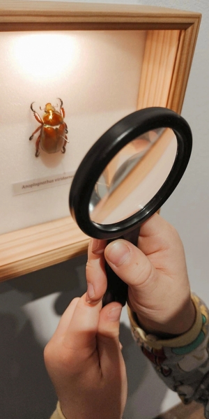Museum Mensch und Natur in München