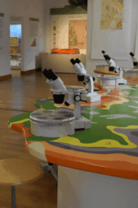 Vonderau Museum in Fulda