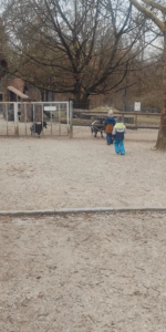 Hof- und Herzoggarten in Landshut