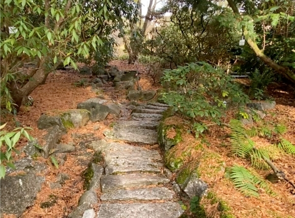Botanischer Garten der Uni Tübingen – Ausflug mit Kindern, Foto 9