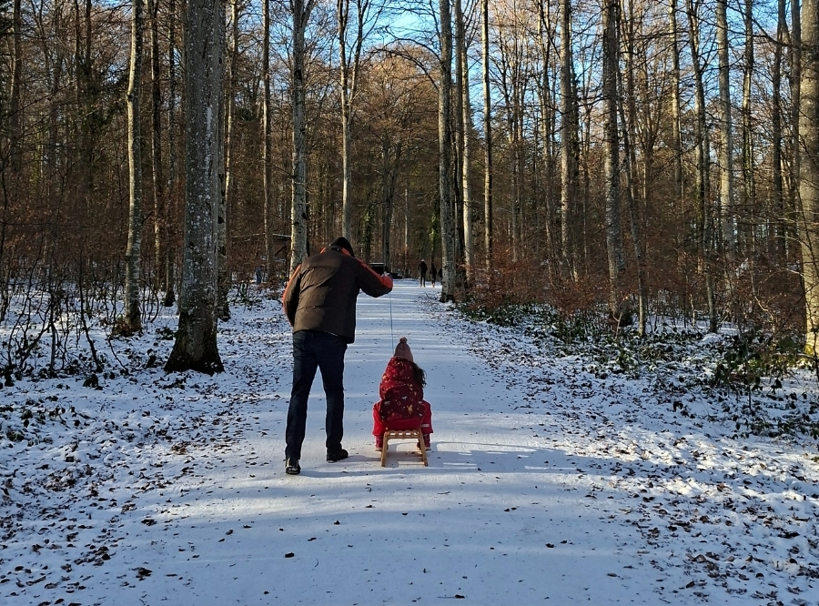 Tiere, Wald & Abenteuer in Laichingen – Ausflug mit Kindern, Foto 4
