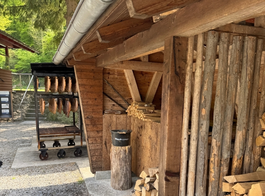 Ermstalfischerei in Bad Urach – Ausflug mit Kindern, Foto 7