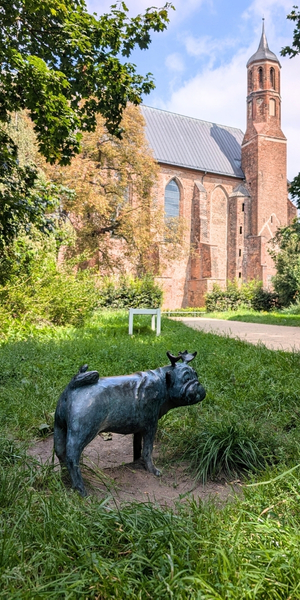 Findet alle Waldmöpse in Brandenburg