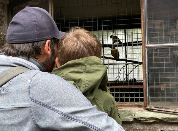 Vogelburg Weilrod – Ausflug mit Kindern, Foto 3