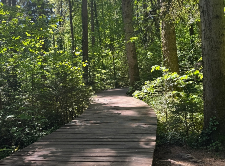 Himmelsgarten in Schwäbisch Gmünd – Ausflug mit Kindern, Foto 7