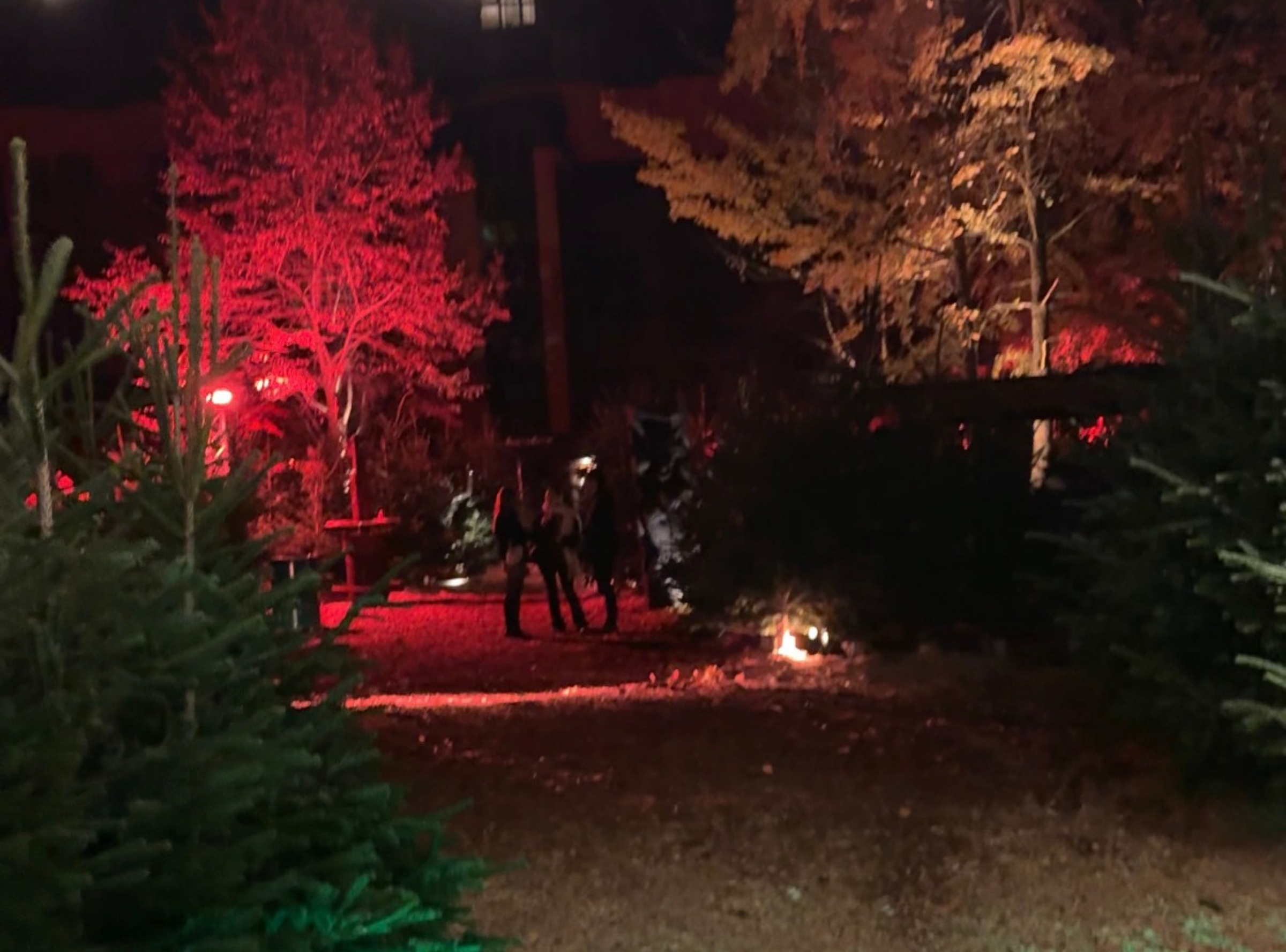 Punschwald Feuersee & Milaneo Stuttgart – Ausflug mit Kindern, Foto 2