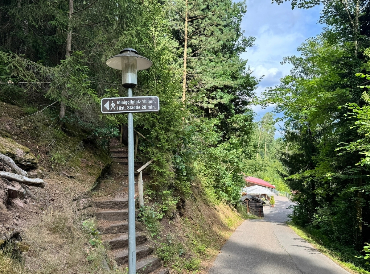 Fledermauspfad in Neubulach – Ausflug mit Kindern, Foto 2