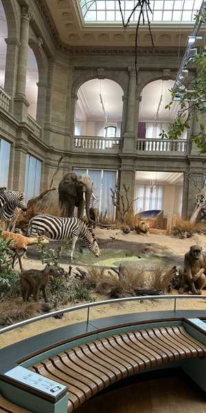 Museum König in Bonn
