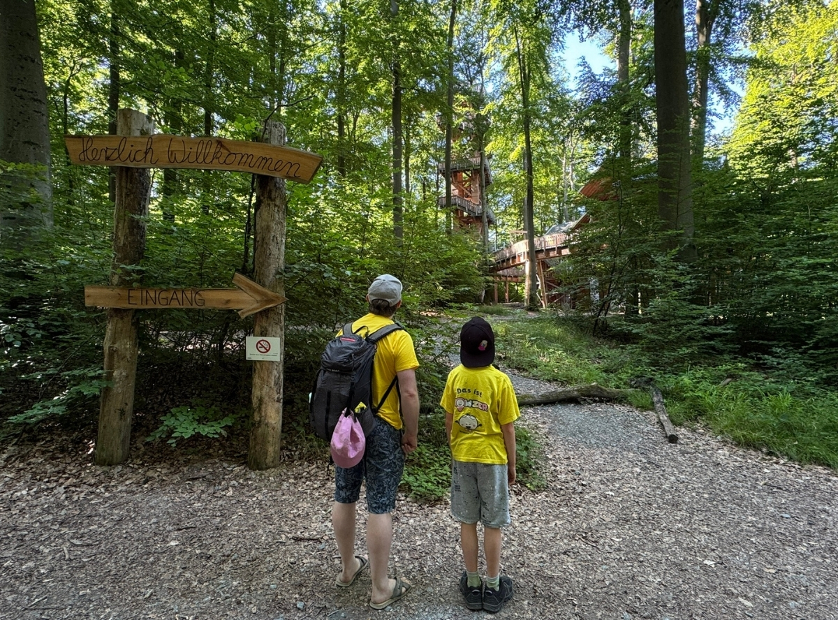 Baumwipfelweg Bad Camberg – Ausflug mit Kindern, Foto 4