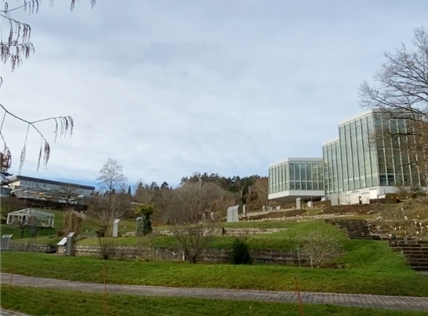 Botanischer Garten der Uni Tübingen – Ausflug mit Kindern, Foto 3