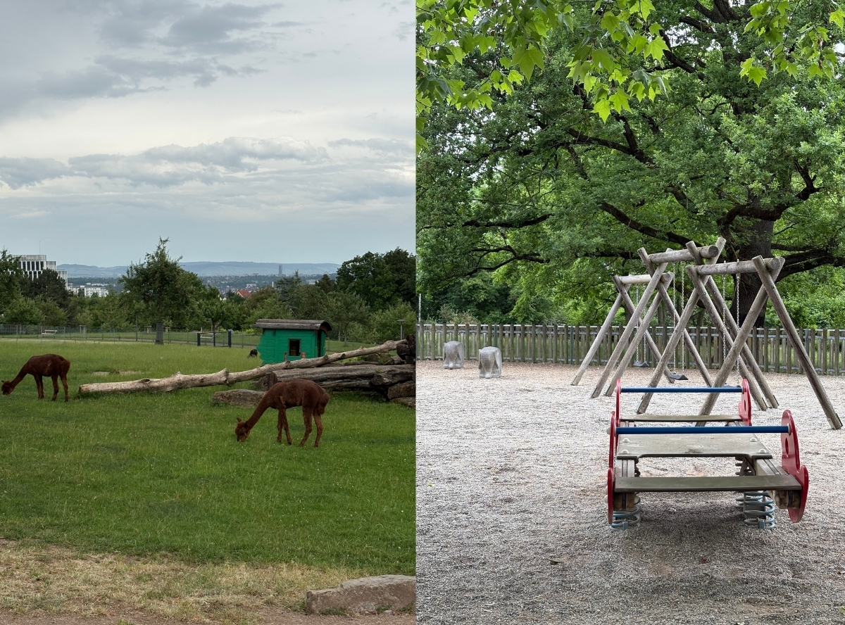 Höhenpark für Familien in Stuttgart – Ausflug mit Kindern, Foto 3