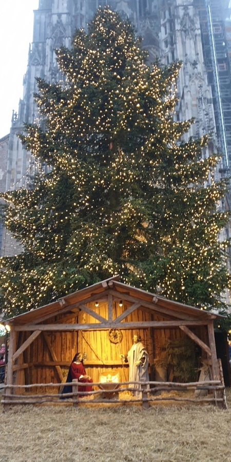 Weihnachtszauber rund ums Ulmer Münster