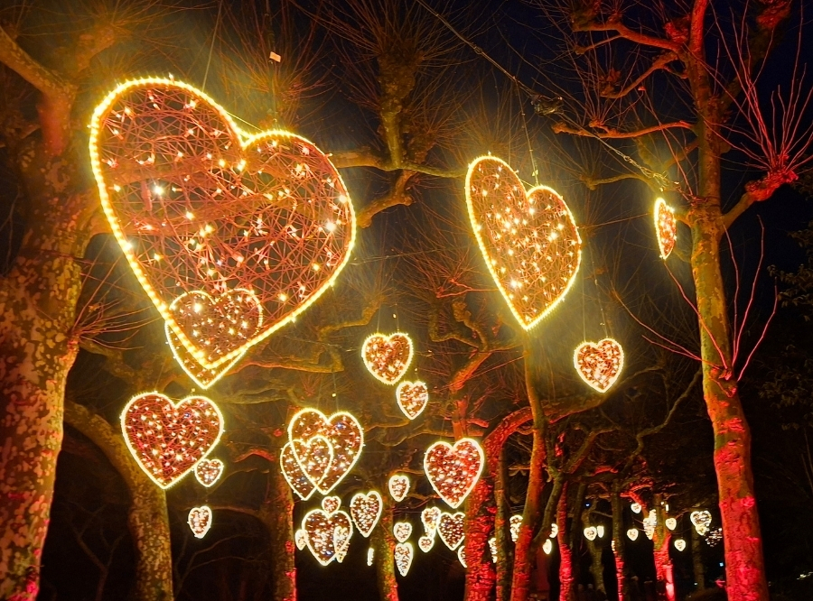 Lichterzauber auf der Insel Mainau – Ausflug mit Kindern, Foto 6