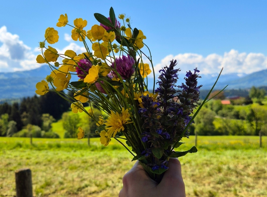 Familienzeit auf der Alpe Wachters