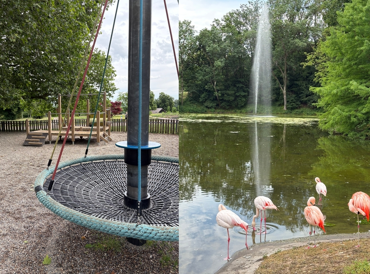 Höhenpark für Familien in Stuttgart – Ausflug mit Kindern, Foto 4