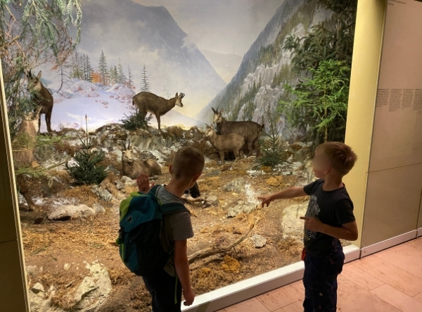 Naturkundemuseum Schloss Rosenstein in Stuttgart – Ausflug mit Kindern, Foto 10