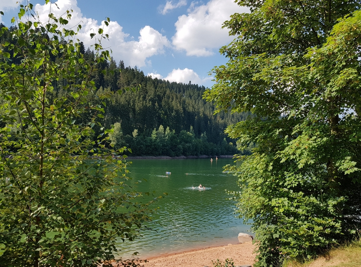 Nagoldtalsperre in Seewald – Ausflug mit Kindern, Foto 2