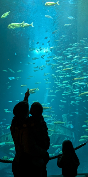 OZEANEUM Stralsund