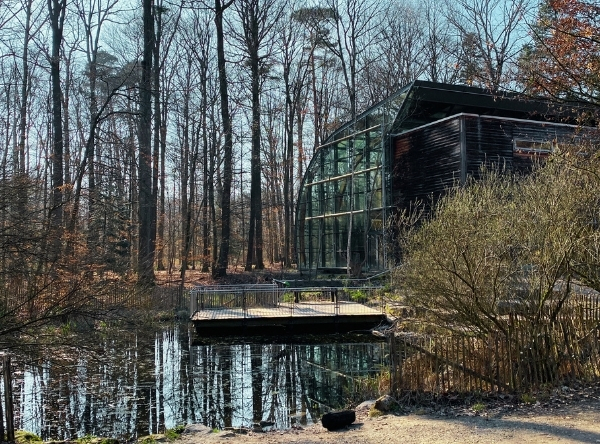Haus des Waldes in Stuttgart – Ausflug mit Kindern, Foto 5
