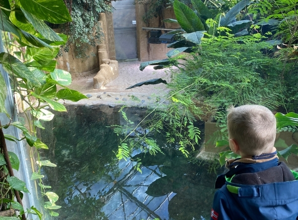Tiergarten Ulm – Ein Abenteuer für die ganze Familie – Ausflug mit Kindern, Foto 10