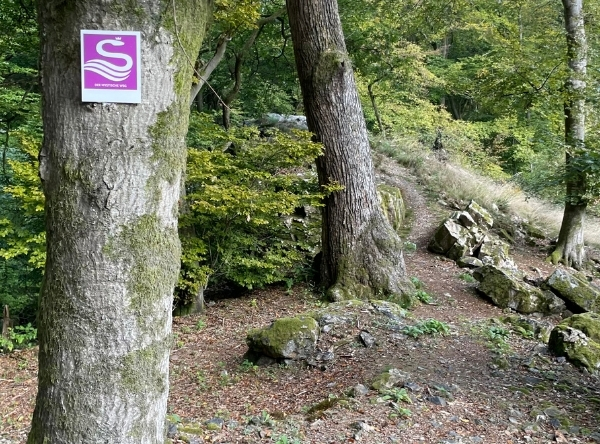Mystischer Weg Schlangenbad – Ausflug mit Kindern, Foto 5