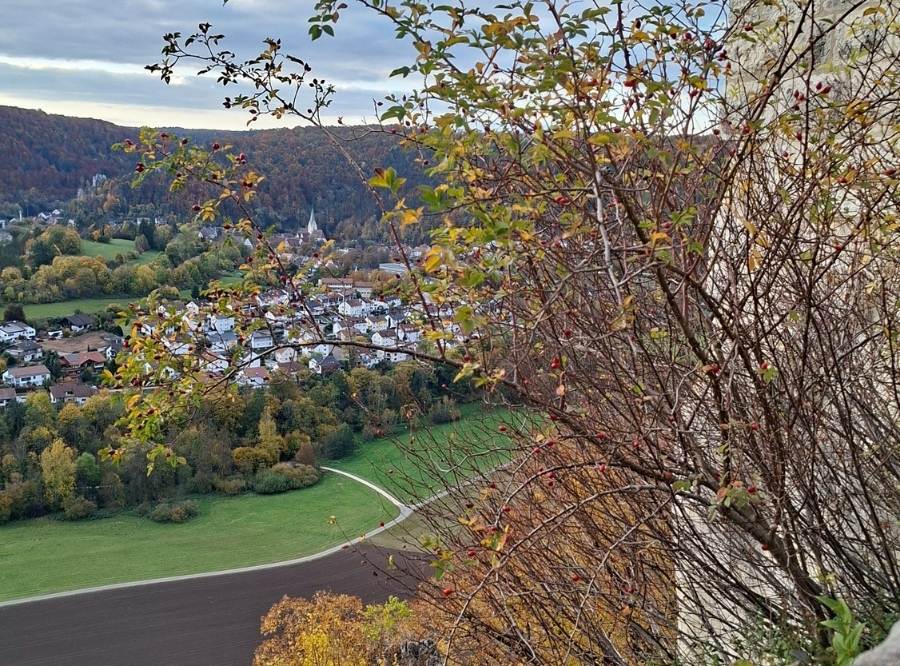Ruine in Blaubeuren mit traumhaftem Ausblick – Ausflug mit Kindern, Foto 3