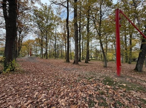 Waldspielplatz Reutlingen-Ohmenhausen – Ausflug mit Kindern, Foto 8