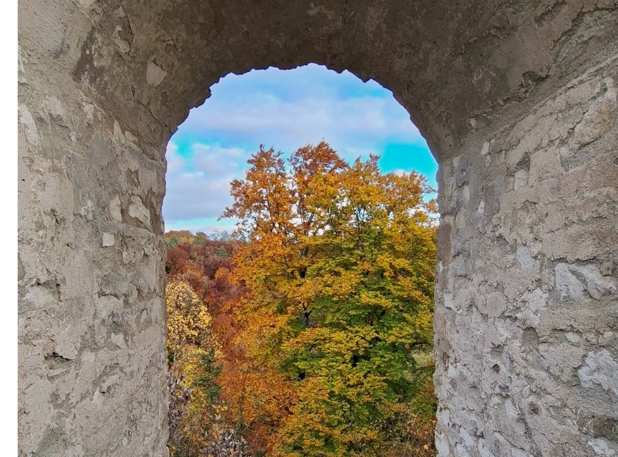 Ruine in Blaubeuren mit traumhaftem Ausblick – Ausflug mit Kindern, Foto 5