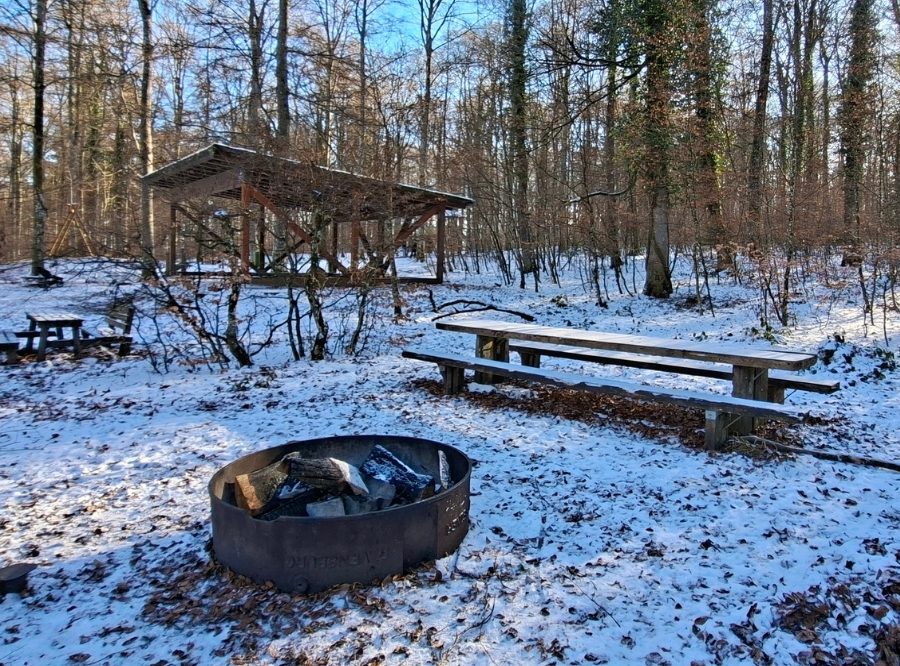 Tiere, Wald & Abenteuer in Laichingen – Ausflug mit Kindern, Foto 2