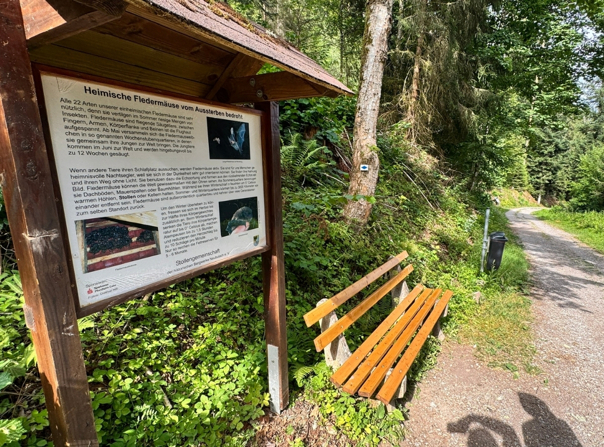 Fledermauspfad in Neubulach – Ausflug mit Kindern, Foto 3
