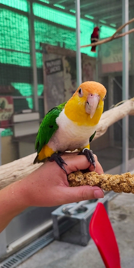 Papageienpark Bochum