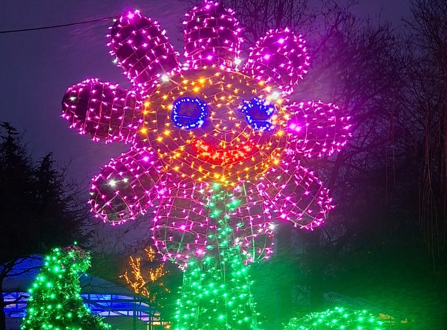 Lichterzauber auf der Insel Mainau – Ausflug mit Kindern, Foto 2