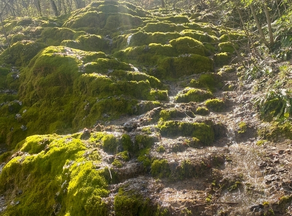 Gütersteiner Wasserfall Bad Urach – Ausflug mit Kindern, Foto 6