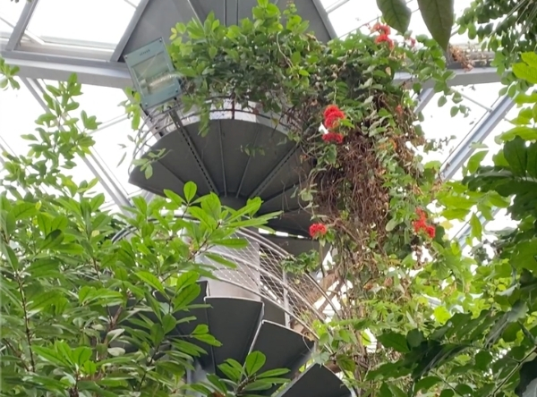 Botanischer Garten der Uni Tübingen – Ausflug mit Kindern, Foto 8