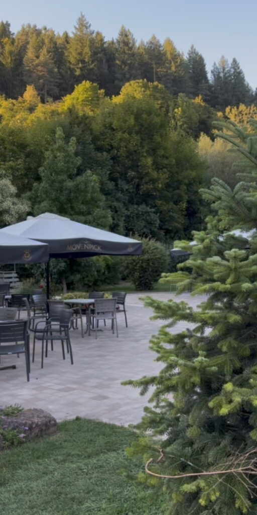 Café Monbachtal in Bad Liebenzell