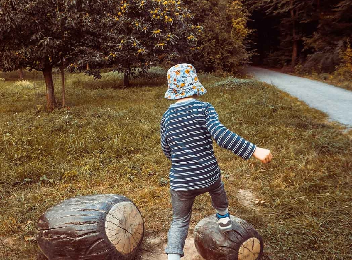 Arboretum Main-Taunus – Ausflug mit Kindern, Foto 2