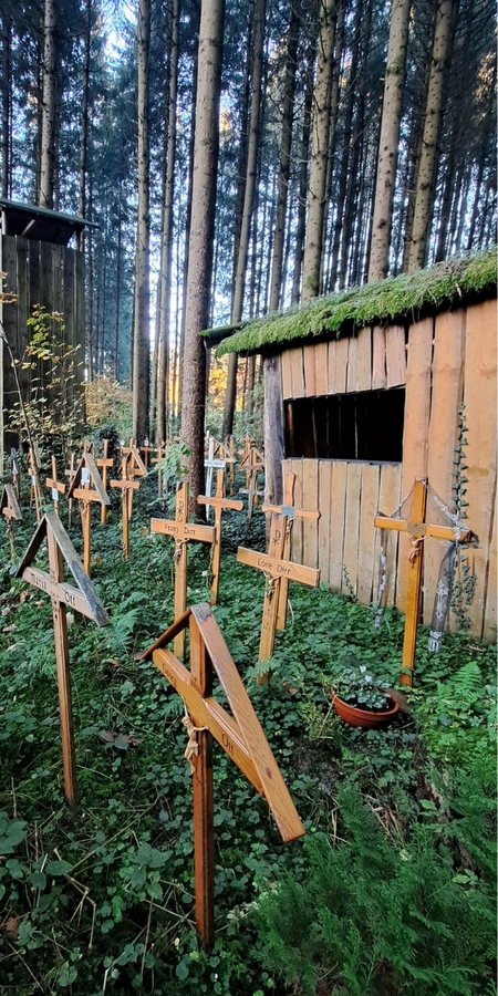 Der geheimnisvolle Ort im Wald
