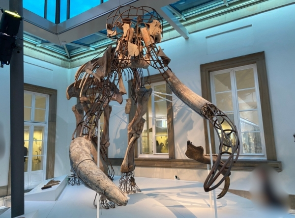 Naturkundemuseum Schloss Rosenstein in Stuttgart – Ausflug mit Kindern, Foto 3