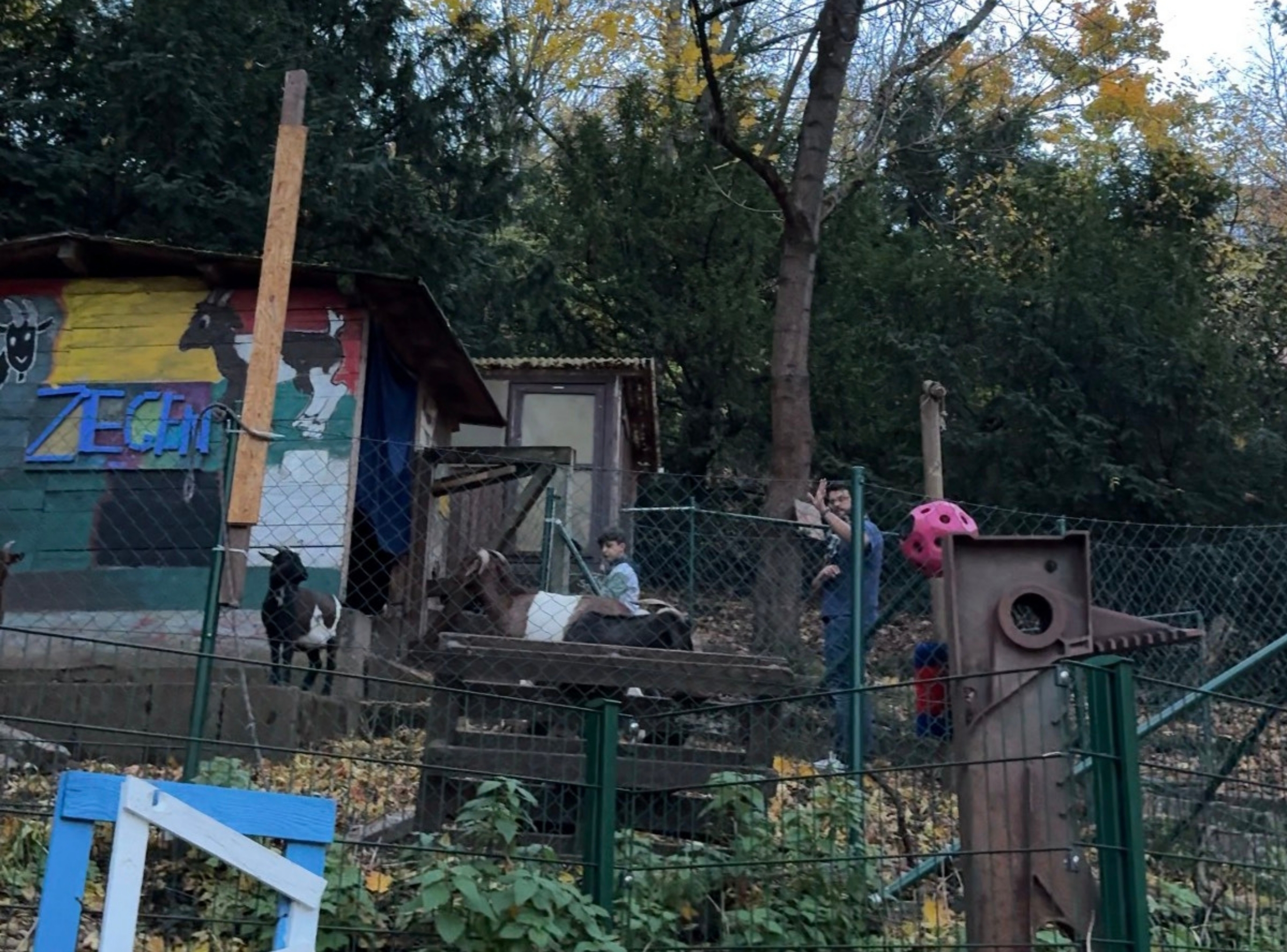 Etzelfarm in Stuttgart – Ausflug mit Kindern, Foto 2