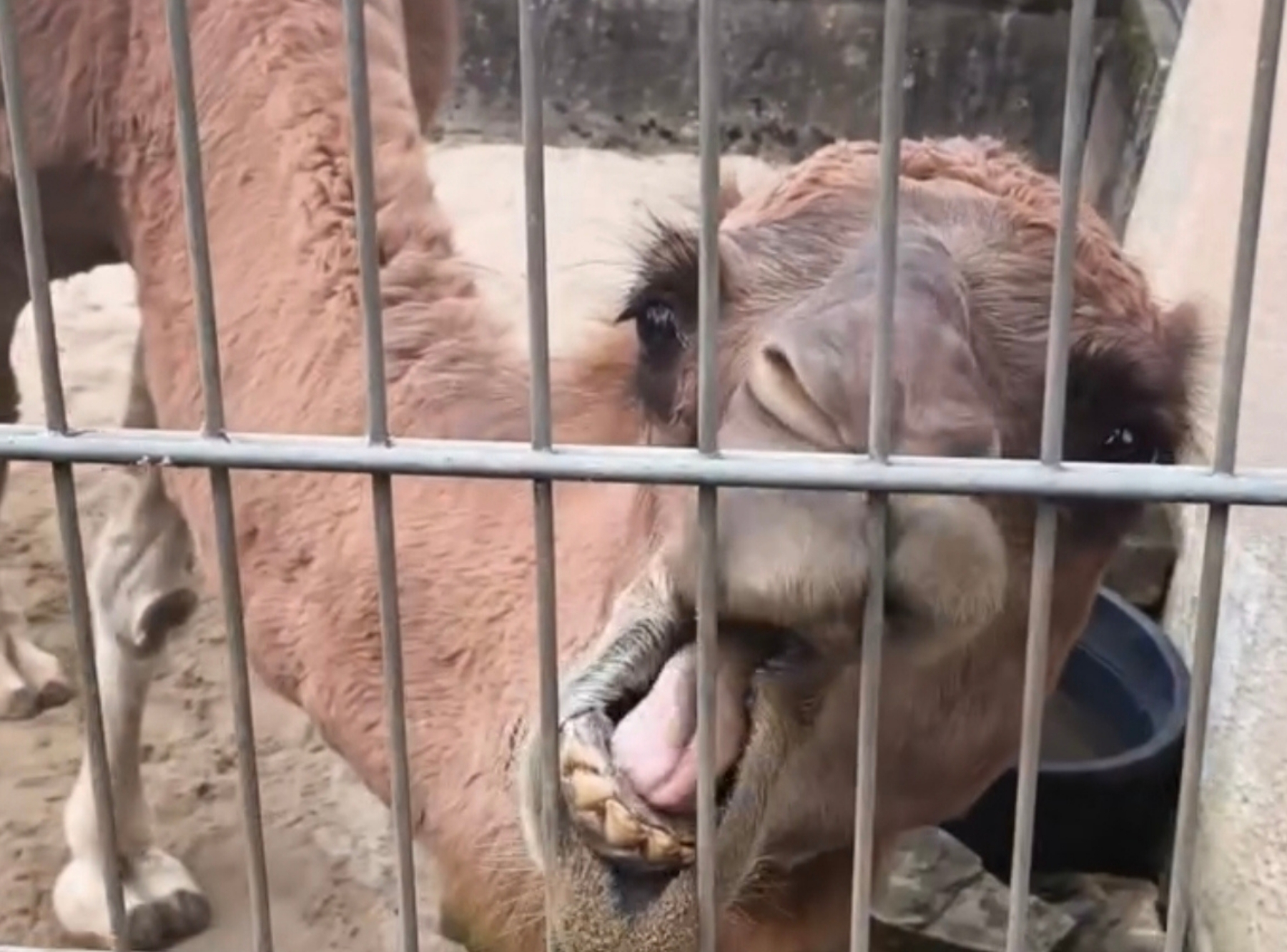 Tierpark Göppingen – Ausflug mit Kindern, Foto 2