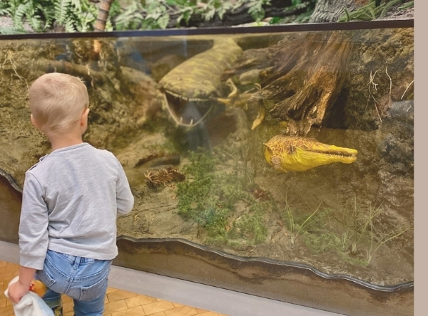 Naturkundemuseum in Stuttgart für Dinofans – Ausflug mit Kindern, Foto 10