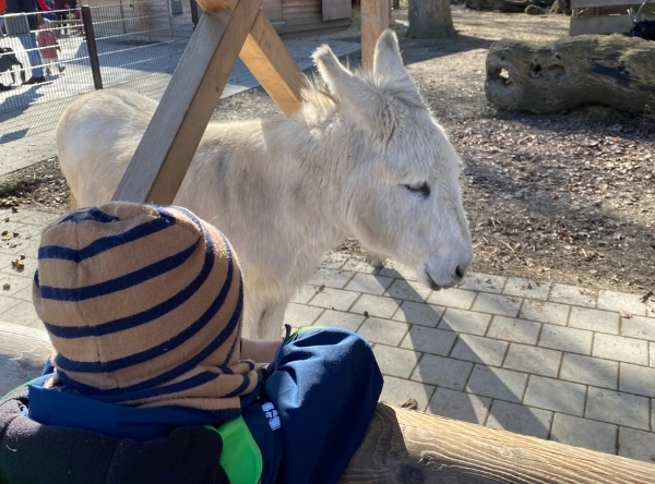 Tiergarten Ulm – Ein Abenteuer für die ganze Familie – Ausflug mit Kindern, Foto 5