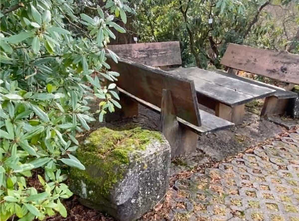 Botanischer Garten der Uni Tübingen – Ausflug mit Kindern, Foto 5