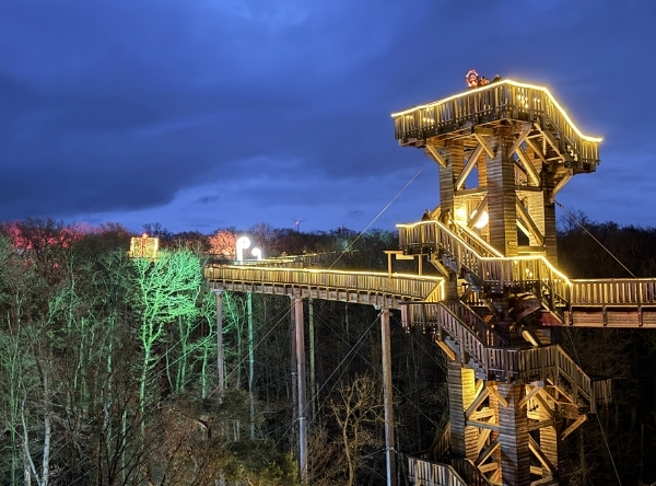Baumwipfelweg Bad Camberg: Lichterzauber – Ausflug mit Kindern, Foto 2