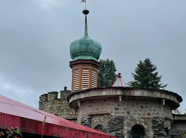 Vogelburg Weilrod – Ausflug mit Kindern, Foto 6