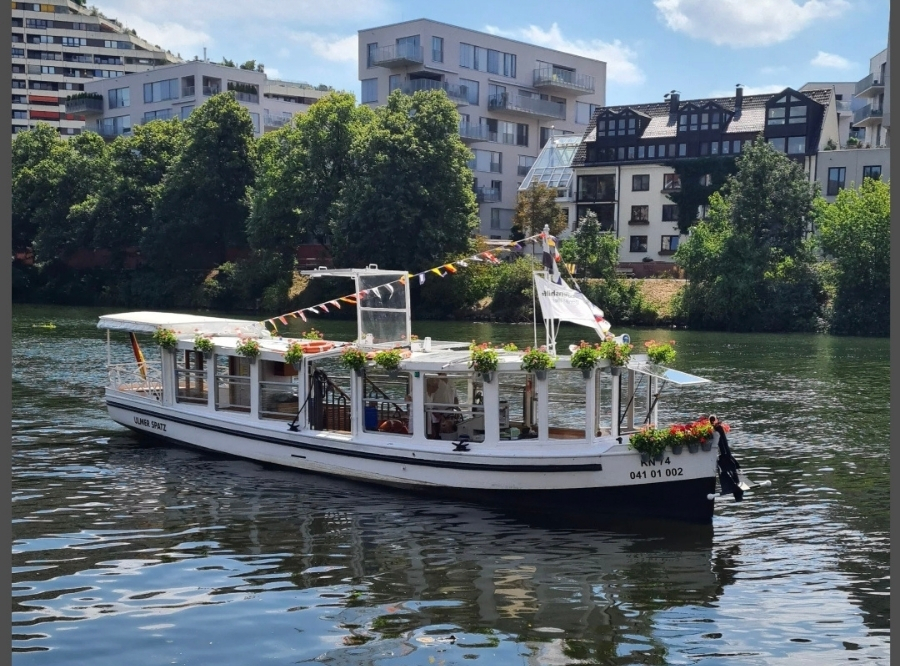 Familienzeit in der Au – Ausflug mit Kindern, Foto 8