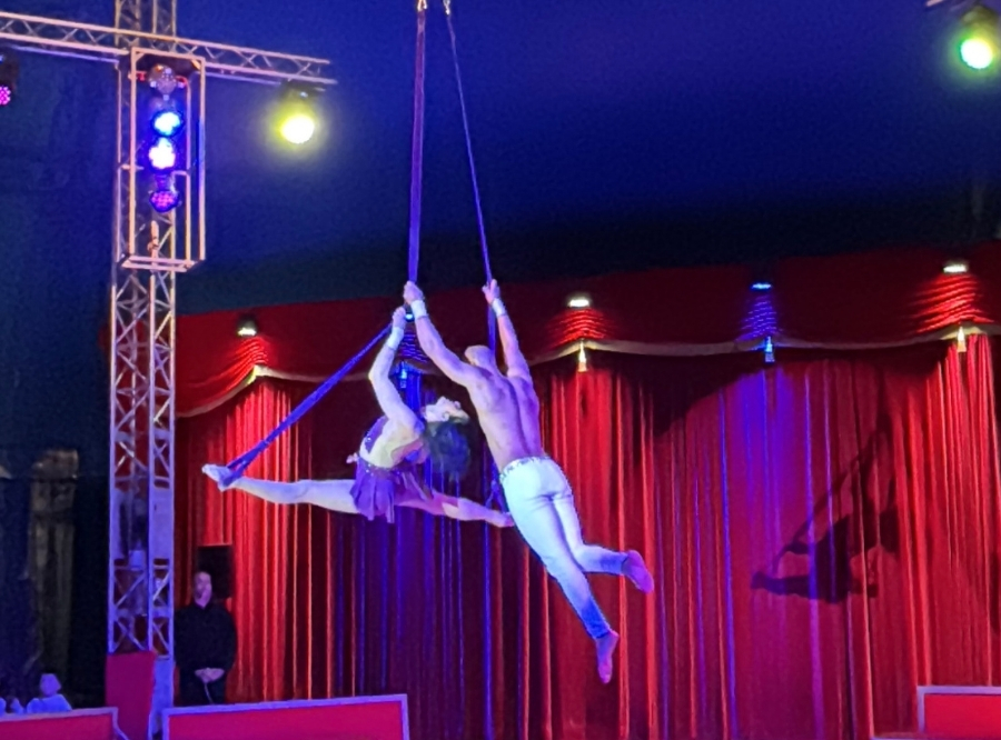Ostercircus Hofmeister Sindelfingen – Ausflug mit Kindern, Foto 6