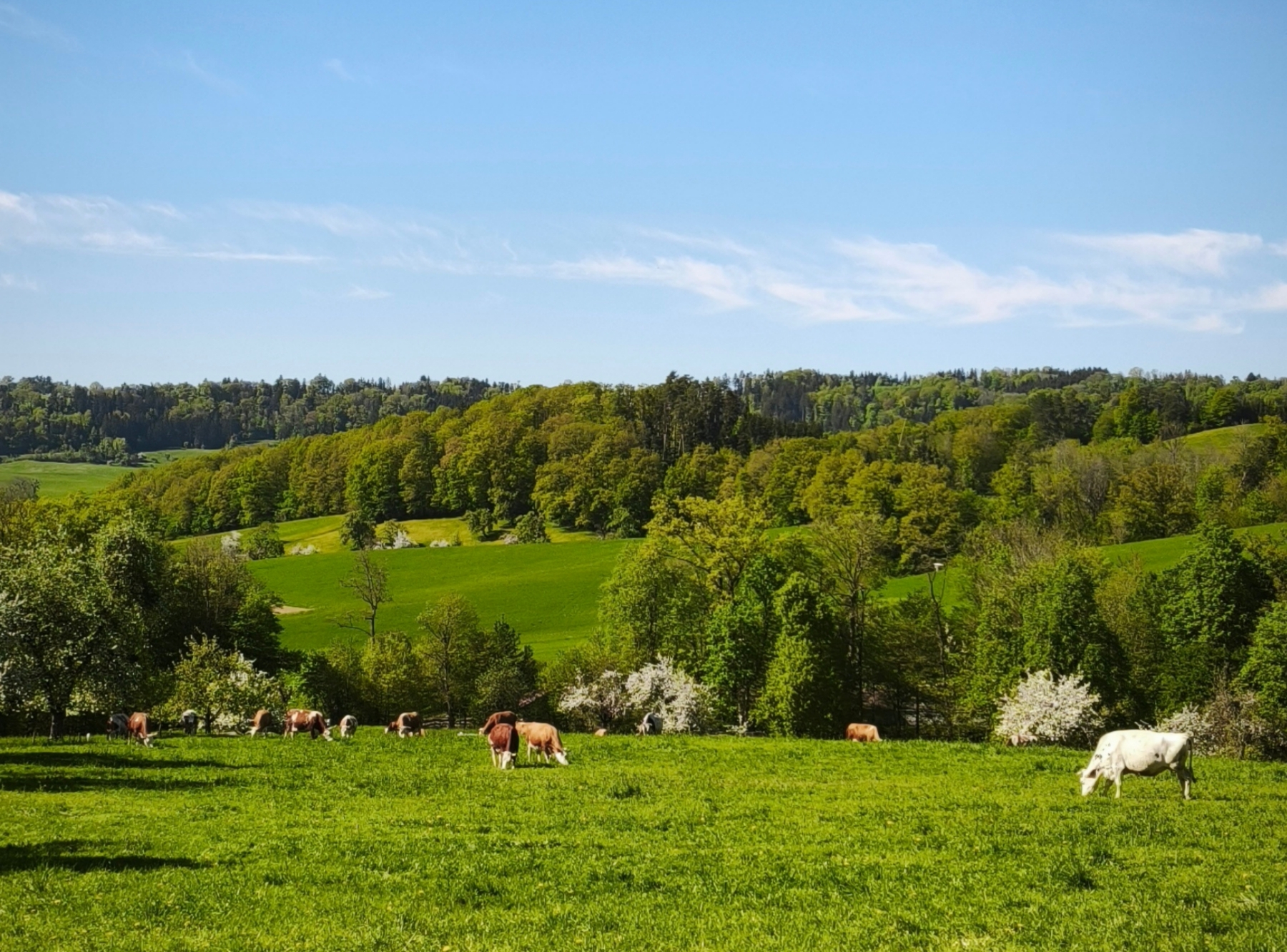 Spiel- und Freizeitpark Schurrenhof – Ausflug mit Kindern, Foto 5