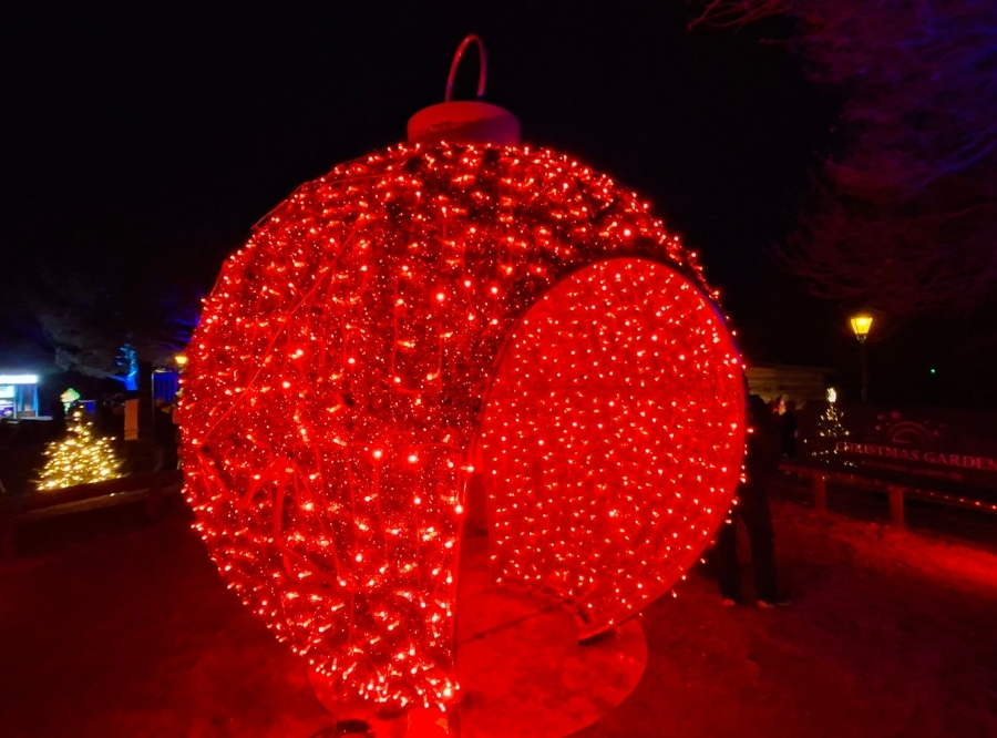Lichterzauber auf der Insel Mainau – Ausflug mit Kindern, Foto 10