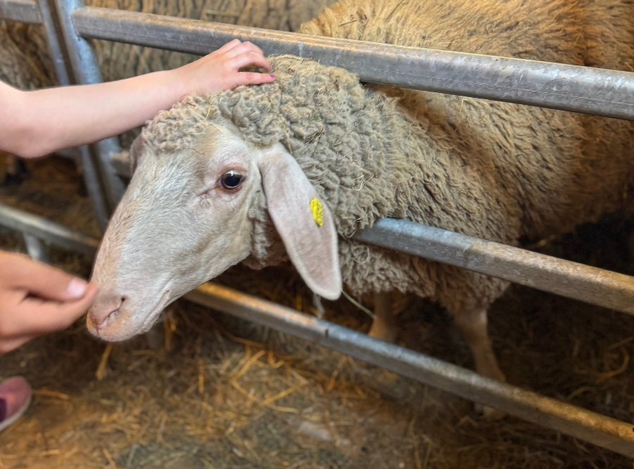 Freilichtmuseum Beuren – Ausflug mit Kindern, Foto 9